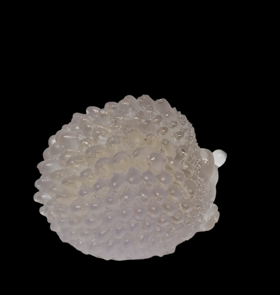 Hedgehog