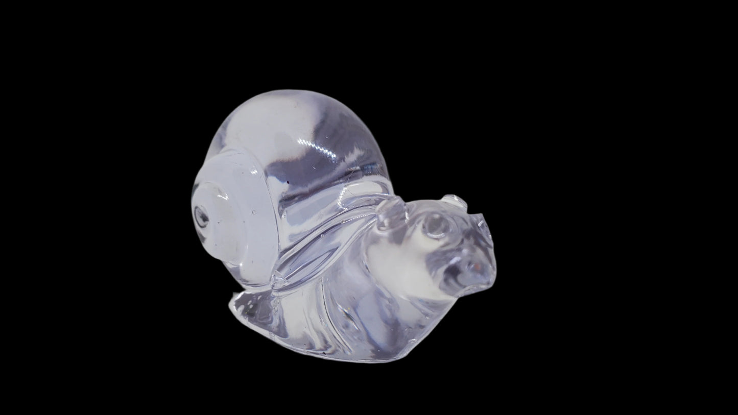 Snail