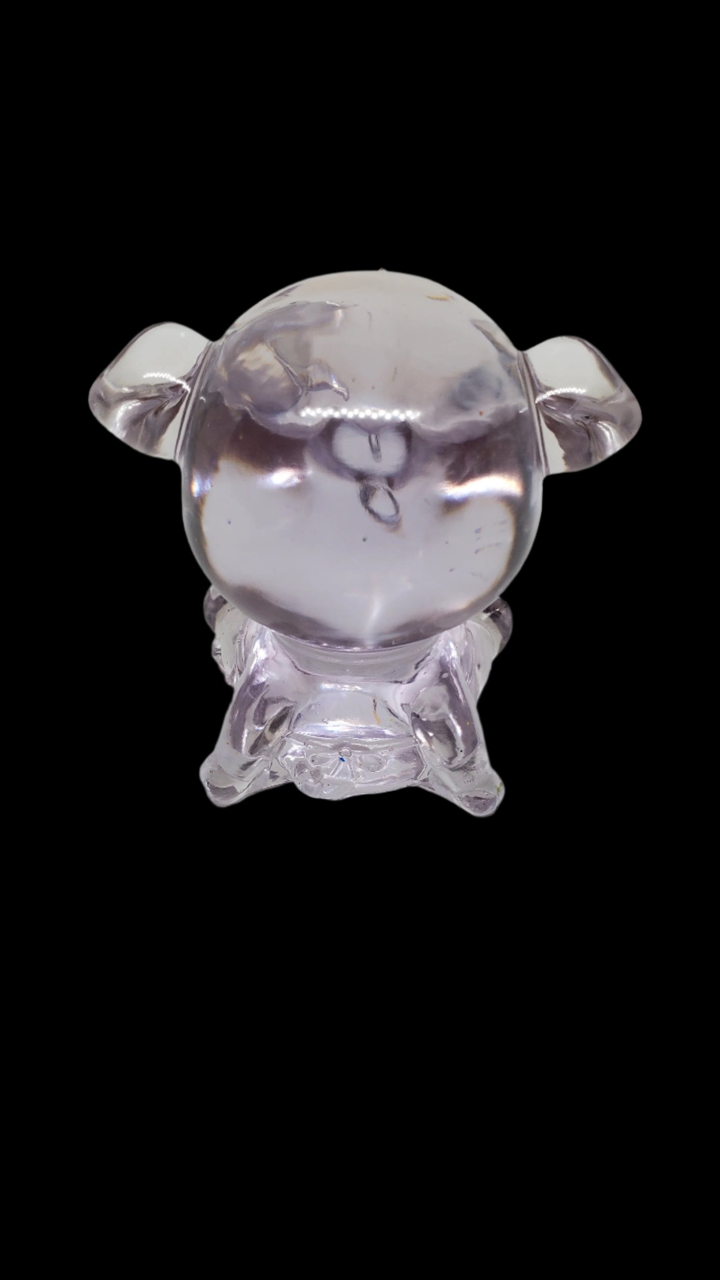 Pig